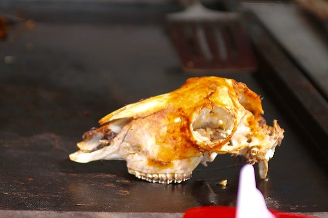 Goat skull on grill to give vegans nightmares