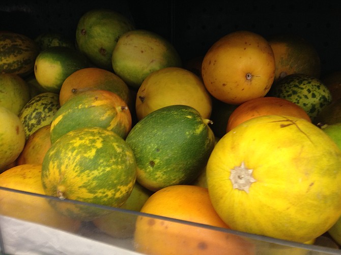 Dosakai melons. They’re like tart cucumbers on the inside.