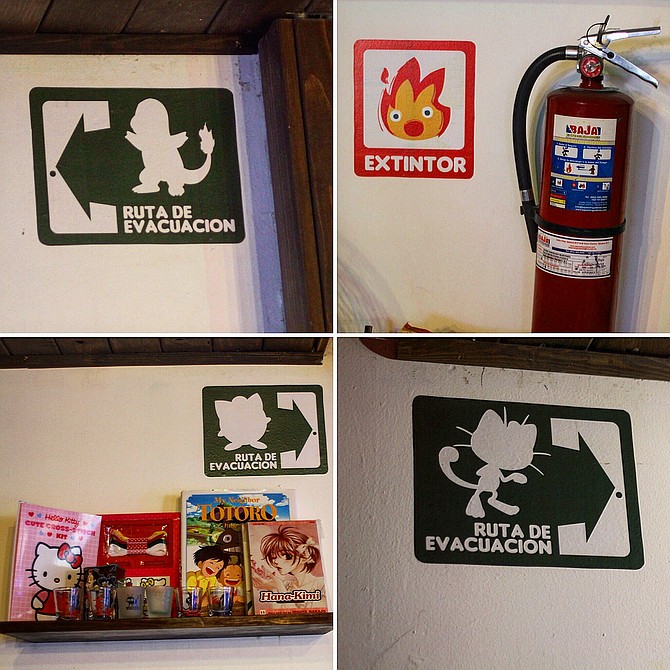 Evacuation and fire extinguisher signs
