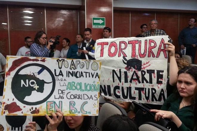 Supporters of bullfighting ban at Baja California legislature (Photo: La Jornada de Baja California)