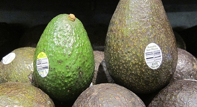A “large” avocado from California next to an “extra large” avocado from Mexico at a local grocery - Image by Chris Woo