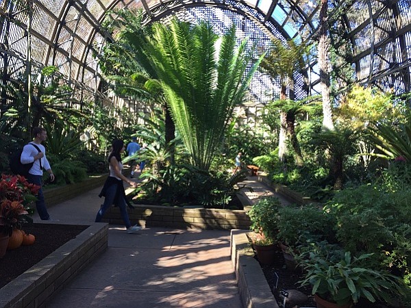Botanical Garden (Balboa Conservancy Group)