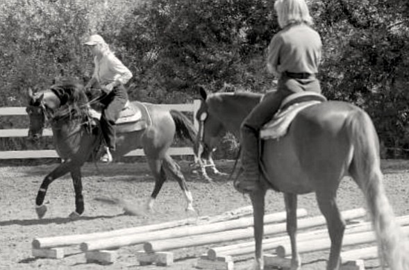 Diane and Darlene.  Like Diane, Darlene started out as a horse-mad girl in the suburbs who at last found herself on the back of a willing horse, in the country, in a trance that seemed to last for years.
