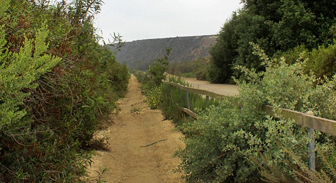The trail leading to the beach
