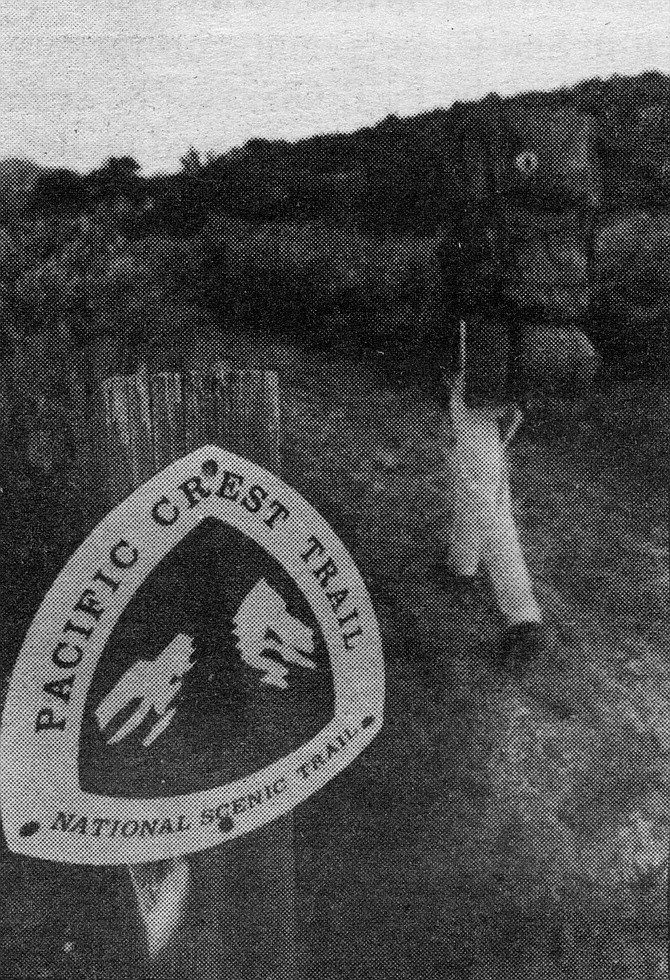 Near Boulder Oaks. The signs with the PCT symbol — a green pine tree with a blue mountain in the background — have unfortunately become collectors’ items. “They have a life expectancy of three to four weeks.”