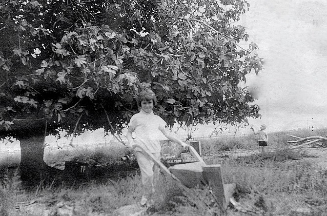 My sister with hand plow. My father came across an abandoned farm off Dairy Mart Rd. There was rusted equipment — an old well pump, a hand plow — and one lone live fig tree.