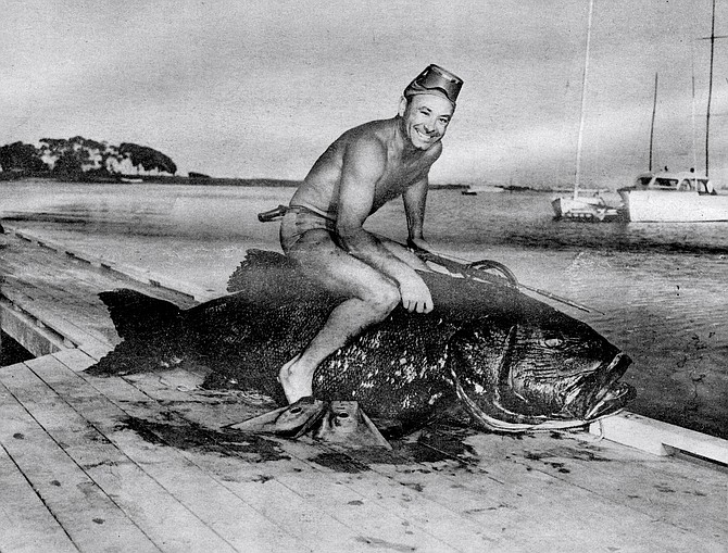 Jack Prodanovich and Black Sea Bass, c. 1954. The disappearance of larger fishes first became evident during the war.