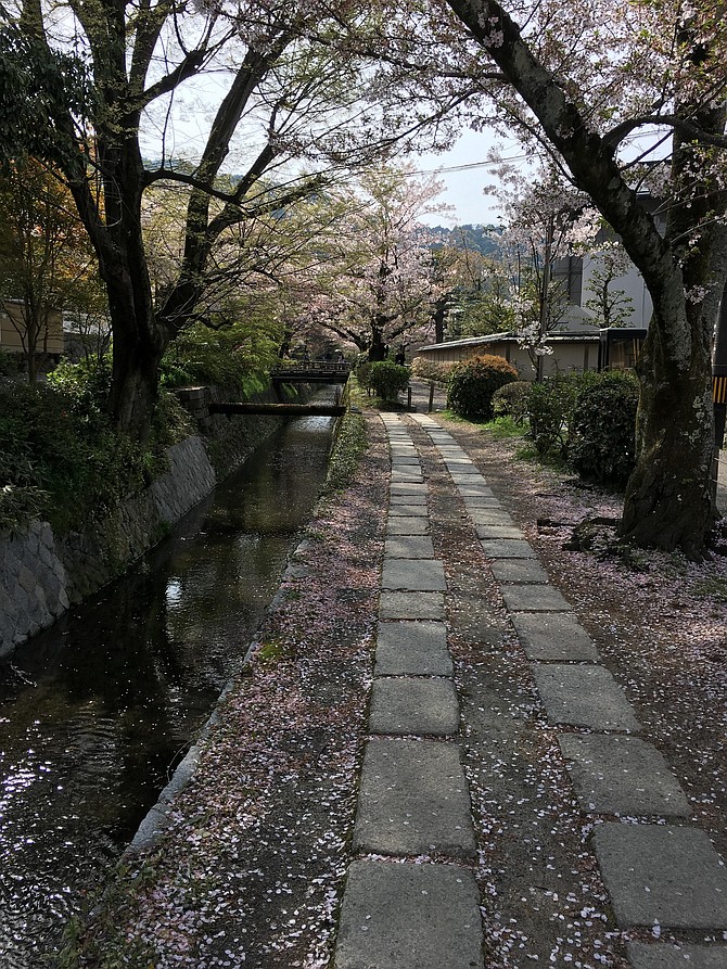 Path of Philosophy
Kyoto, Japan
