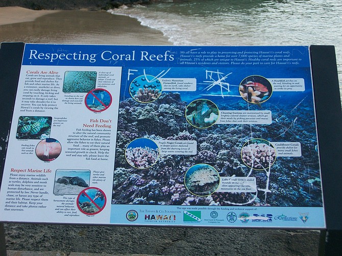 Respecting Coral Reefs on Kona, Hawaii.