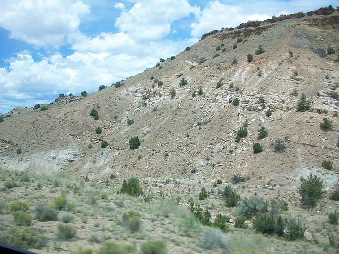 New Mexico hillside.