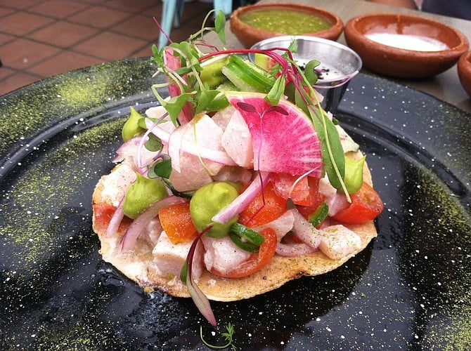The ceviche tostada: tasty, beautiful, and almost $20.