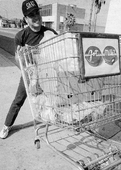 Eddy Ventura: "The other drivers when they see the guys pushing the carts [they say], ‘Come on, give me my shopping cart....’ When I see this [homeless] guy, sometimes I let him go."