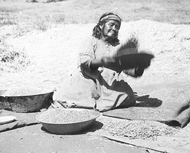 Estevan Wypooke cleaning wheat, 1908. In 1900, at Mesa Grande, Manzanita, Campo, and other Kumeyaay reservations, the old, infirm, and indigent were near starvation.