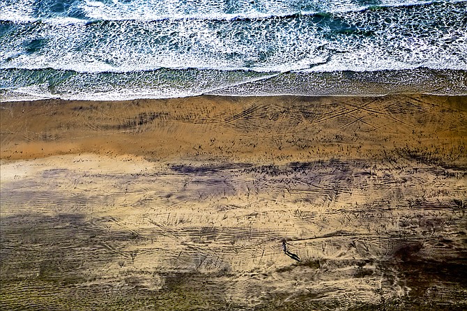 Contrast at Torrey Pines State Beach