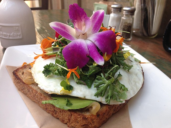 Edible flowers over fried egg and avocado on toast