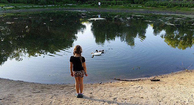 A small pond at Los Jilgueros attracts ducks and children.