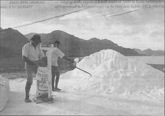 San Evaristo. Two barefoot men shovel the crystals into what look to be 50-pound sacks. The larger, stronger one then lifts each sack onto a scale, evens up the weight with a partial shovelful, and sets it aside to be laced closed.