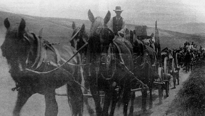Leaving Warner Springs, on the road to Pala, 1903 - Image by Dave Allen