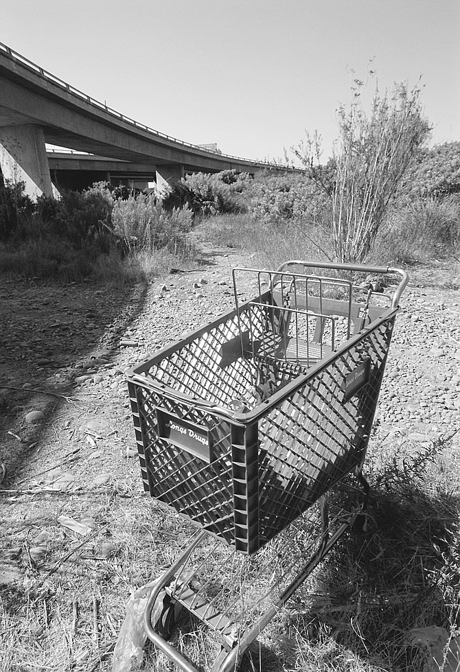 The river has largemouth bass and green sunfish, as well as shopping carts and Styrofoam containers.