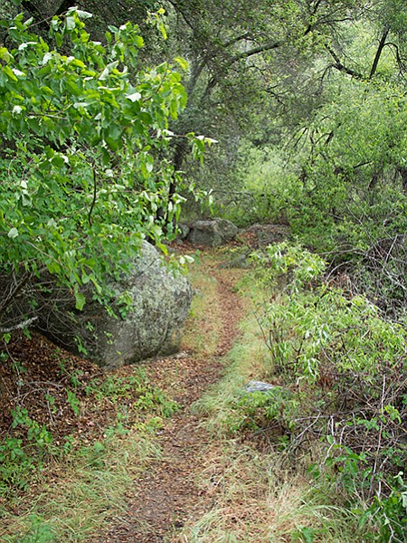San Luis Rey trail heading upstream