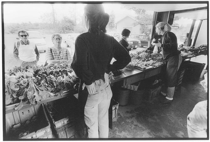 Everything changed in the summer of 1969, the year the Vegetable Shop opened. 
