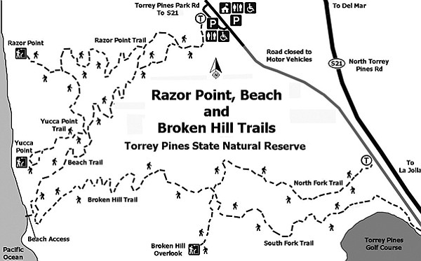 Torrey Pines' Razor Point, Beach, and Broken Hill Trail Map