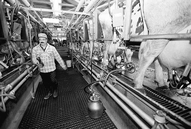 "Caltrans has an easement right through our milking barns." - Image by Joe Klein