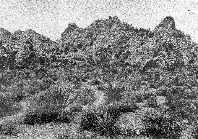 Anza-Borrego Desert. The Spanish hated the desert. For them it was a vision of Hell.