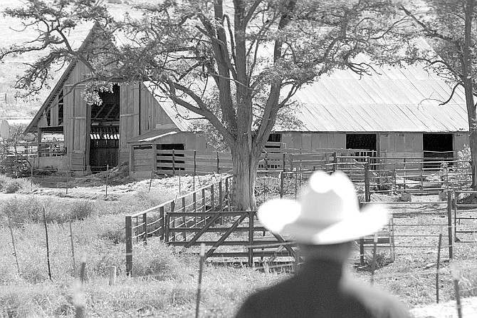 Milking barn. Cauzza's father came from Switzerland in the 1930s to work on the dairy and cattle ranch where San Diego Country Estates now lies, later in Santa Ysabel.