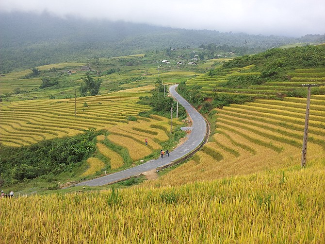 Vietnam terrace rice fields ready for harvesting. Source: http://www.hiddenvietnam.com