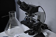 photo thumbnail