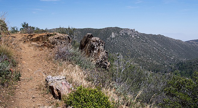 Views to the east and the desert from Desert View Trail.