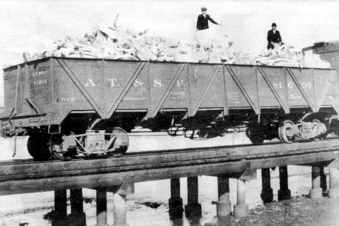 Gondola car of whale bones from Magdalena Bay, 1915. Whalers flocked to Magdalena Bay, and by the spring of 1853 they’d slain between 450 and 500 gray whales there.