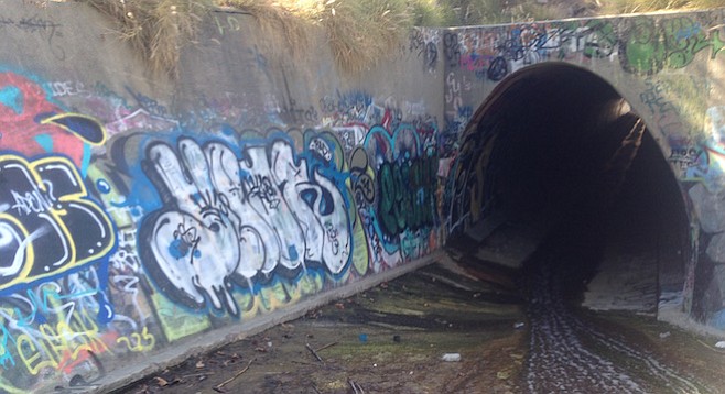 The storm drain under I-8 that connects the canyon to San Diego State University