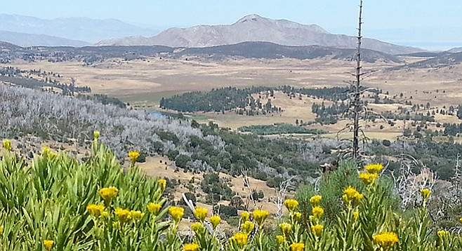 View of Cuyamaca Lake from Conejos Trail