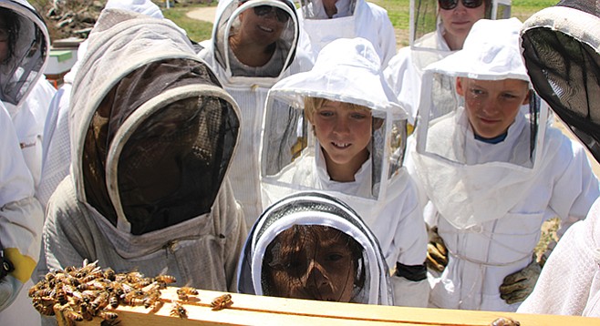 Saturday, August 13: A beehive tour