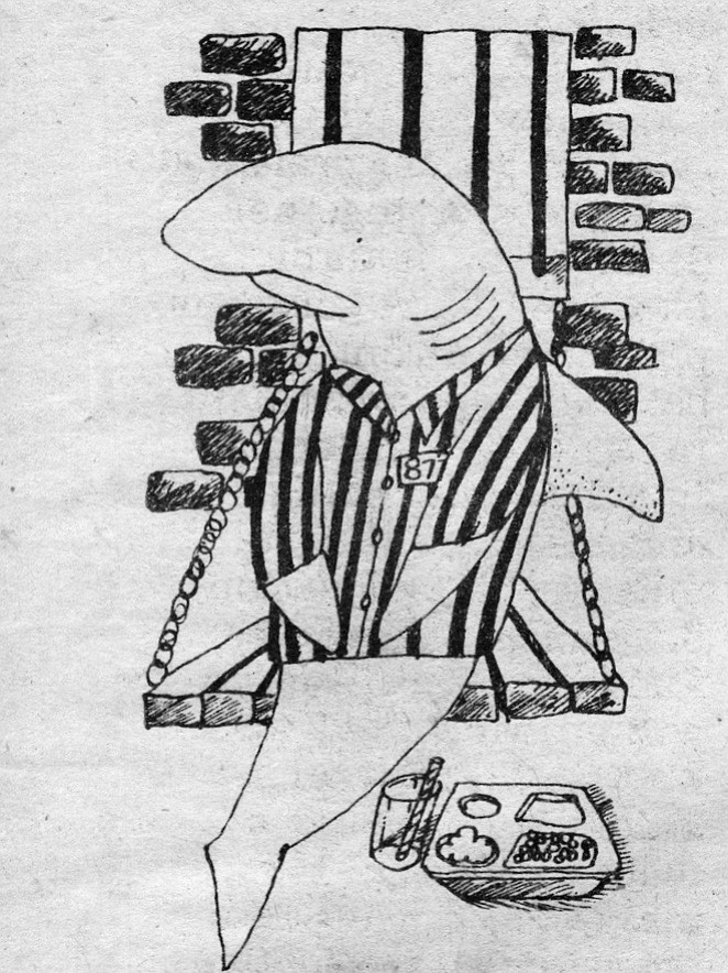 Illustration of a shark in jail