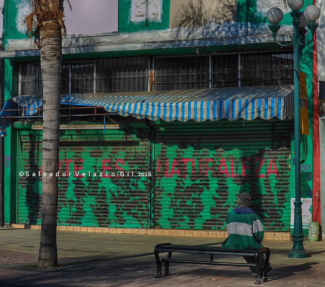 Neighborhood Photos
Tijuana,Baja California,Mexico
Person sitting in bench in Avenida Revolucion in Tijuana.