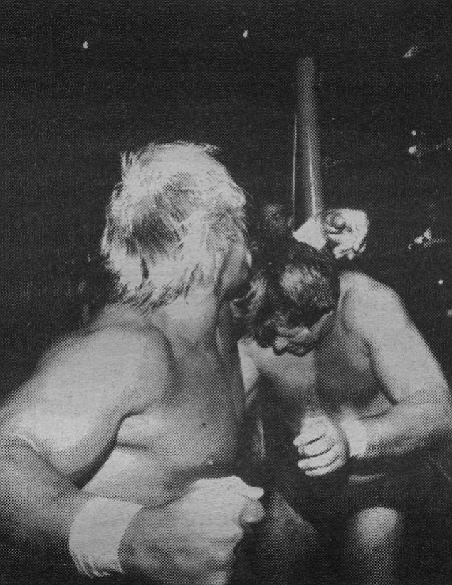 Hogan, Piper, outside ring
