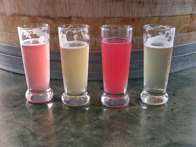 Four flavors of Bootstrap Kombucha: blueberry, apricot, beet apple ginger, and raw.