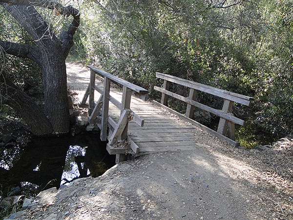 Foot bridge along the Trans-County Trail