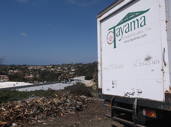 Twelve houses are planned for the Tayamas' property
