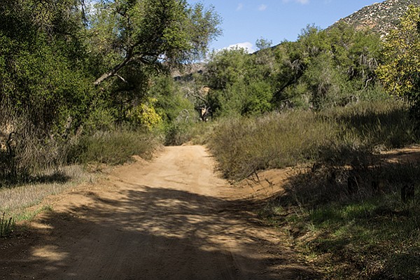 Entering canyon tributary