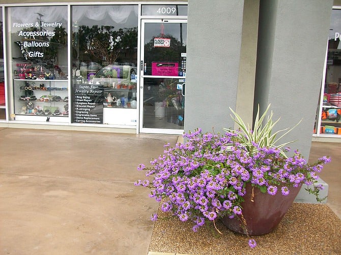 Point Loma Plaza planter on Midway Drive.