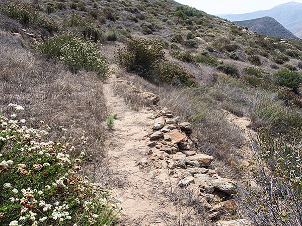 Old historic road in Eagle Peak Preserve