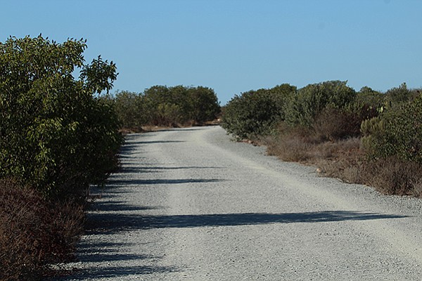 Rim Trail's gravel road