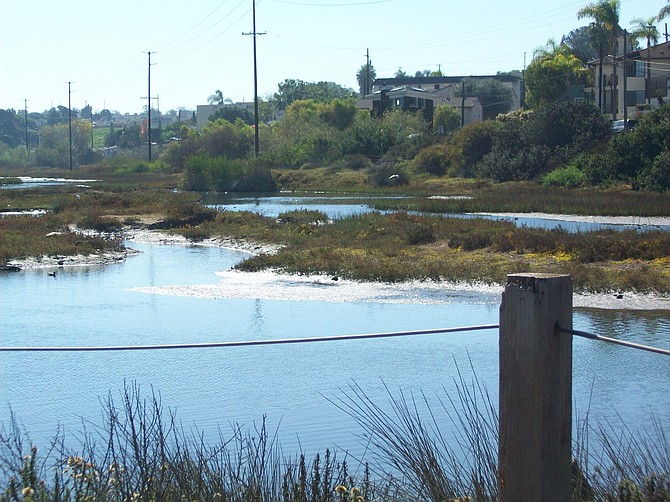 View of Famosa Slough.