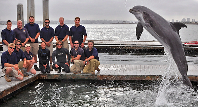 The Navy's San Diego dolphin-training team