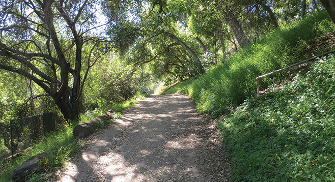 Sixty-five miles of trails in Balboa Park | San Diego Reader