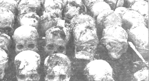 Mass grave of Khmer Rouge victims, uncovered in 1980 - Image by From book The Pol Pot Regime
